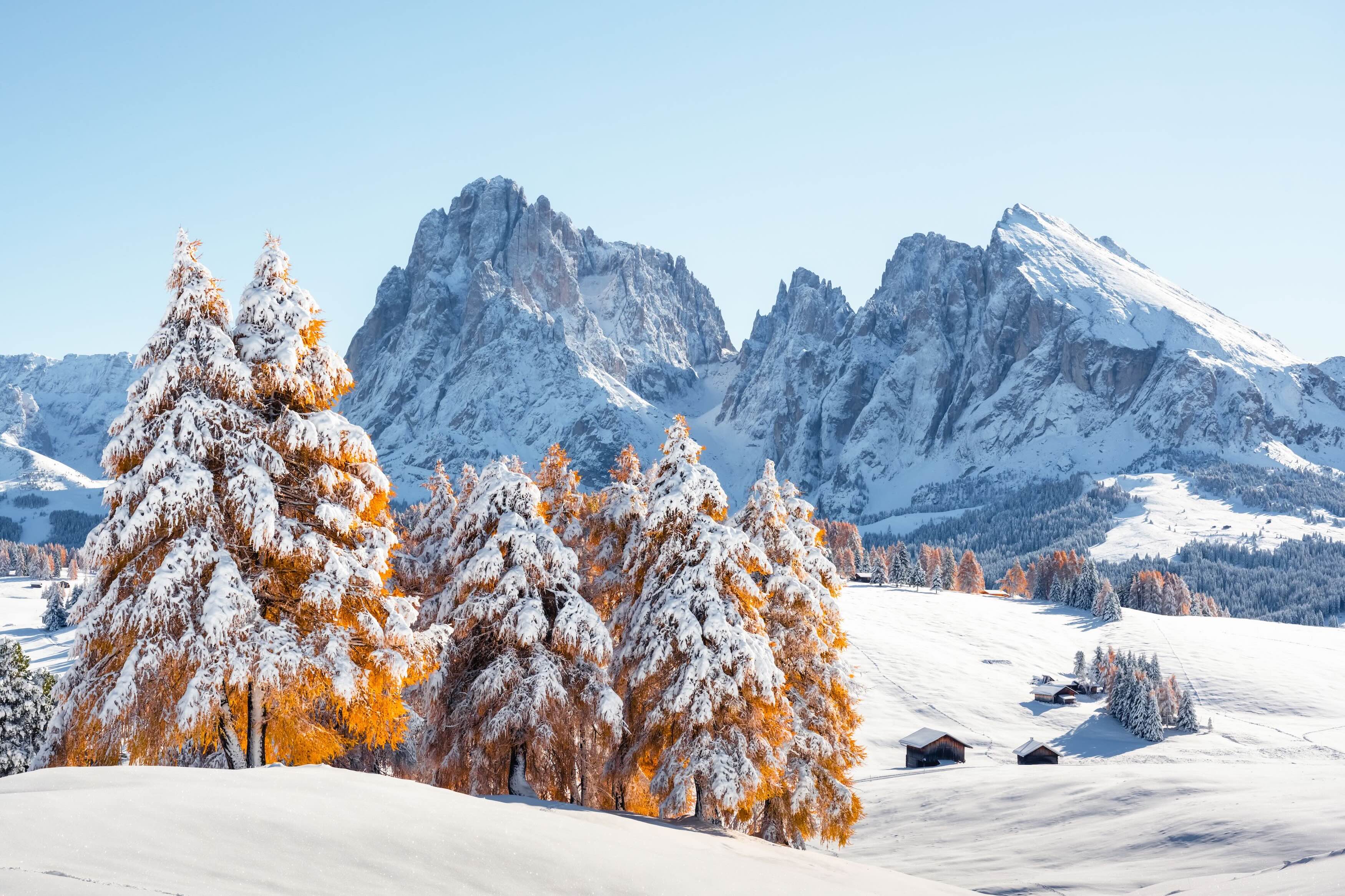 Winter Angebote