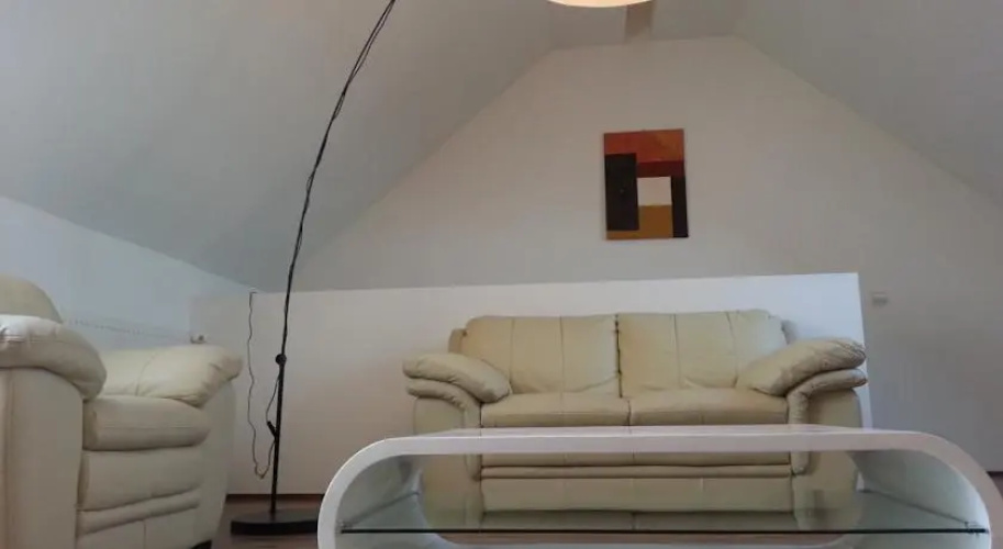 Cluj Lux Apartment Plopilor