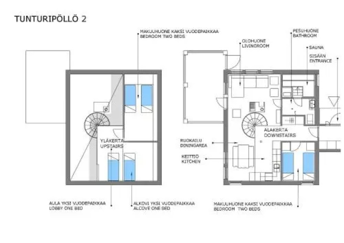 Tunturipöllö 2